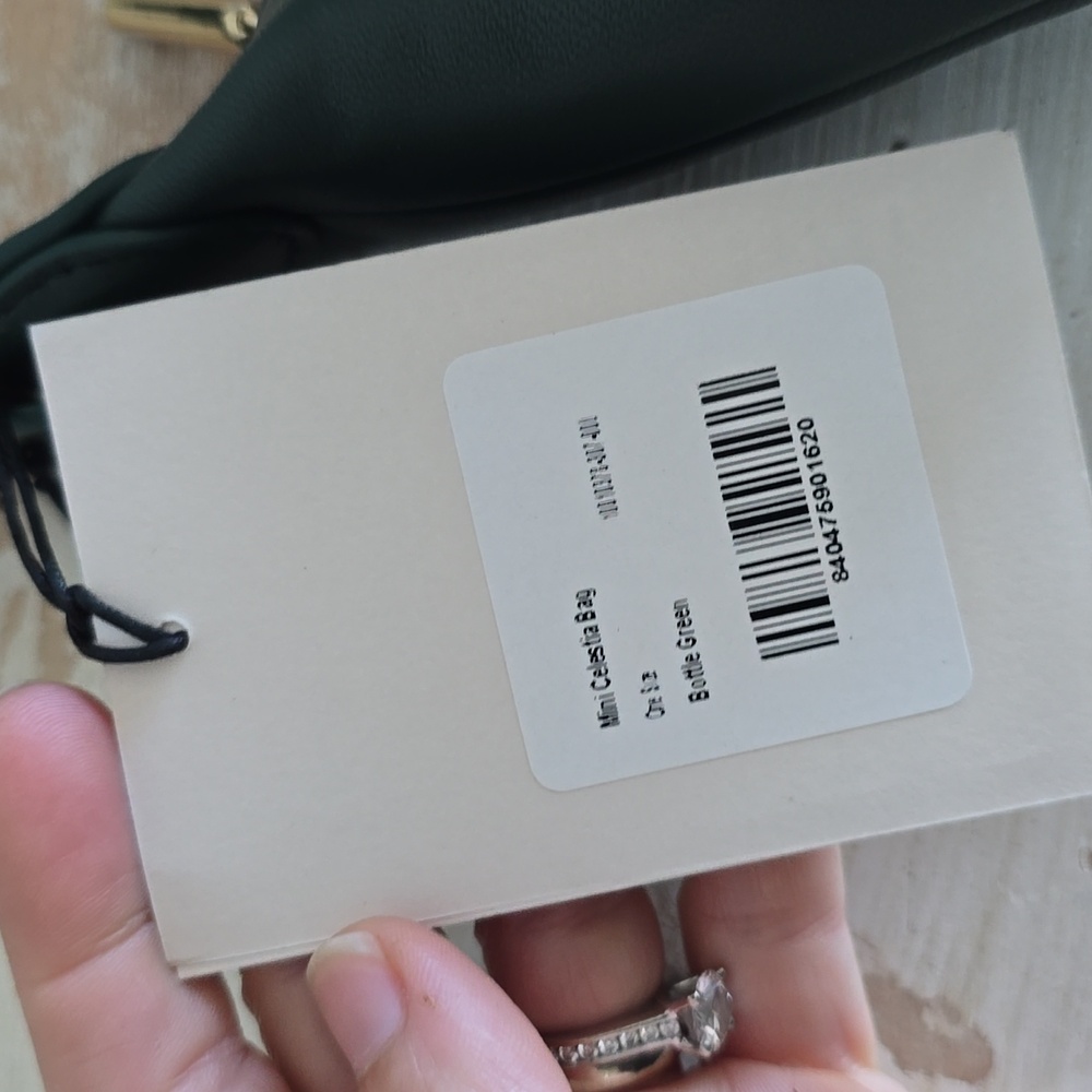 NWT Cuyana Mini Celestia Bag In Bottle Green - Picture 12 of 12